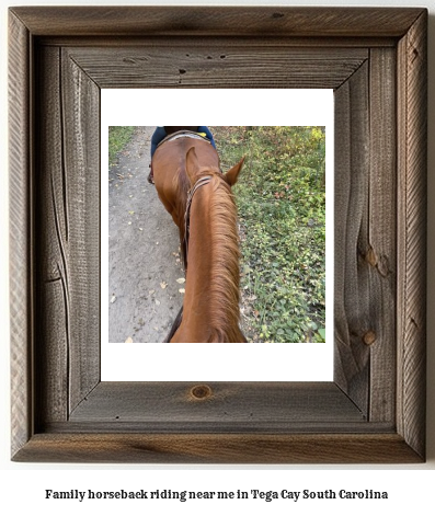 family horseback riding near me in Tega Cay, South Carolina